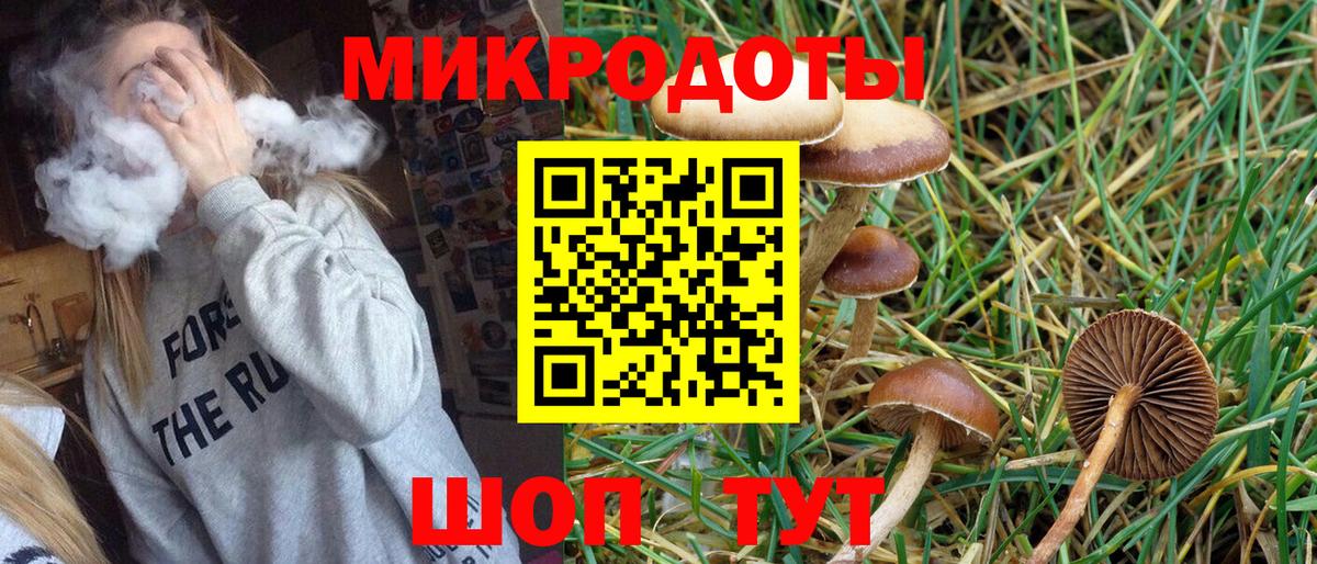 Псилоцибиновые грибы GOLDEN TEACHER  Псилоцибиновые грибы Cubensis  Вход с VPN  Бугульма 